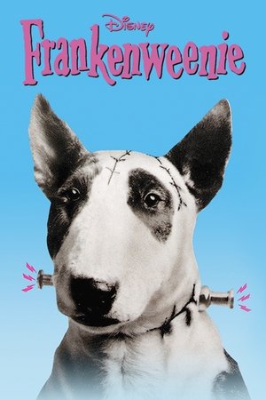 Франкенвини (фильм, 1984)