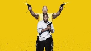 Полтора шпиона (фильм, 2016)