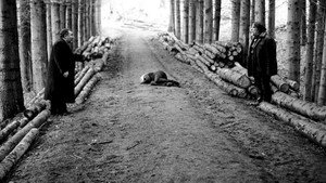 Убей меня, пожалуйста (фильм, 2010)