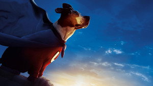 Суперпес (фильм, 2007)