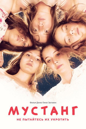 Мустанг (фильм, 2015)
