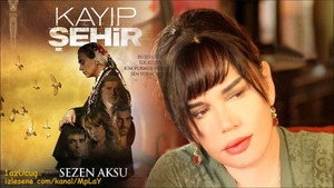 Потерянный город (сериал, 2012)