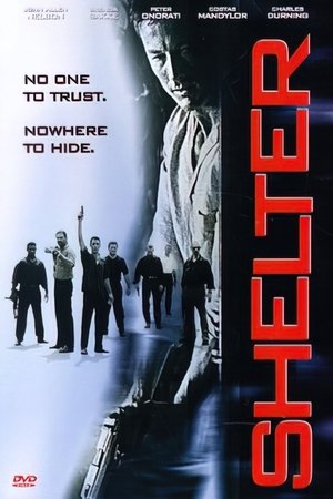 Под прикрытием (фильм, 1998)