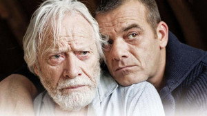 Кругом тишина (фильм, 2013)