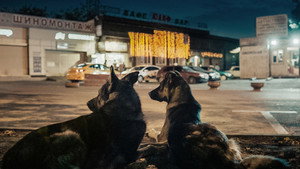 Космические собаки (фильм, 2019)