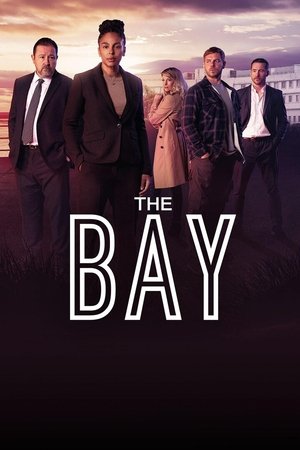 Убийство в заливе (сериал, 2019)
