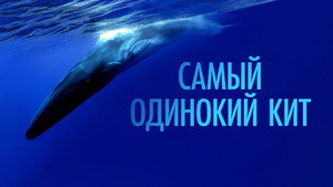 Самый одинокий кит на планете: в поисках Пятидесятидвухгерцового кита (фильм, 2021)