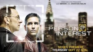 В поле зрения (сериал, 2011)