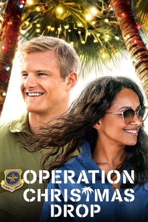 Подарки с неба (фильм, 2020)