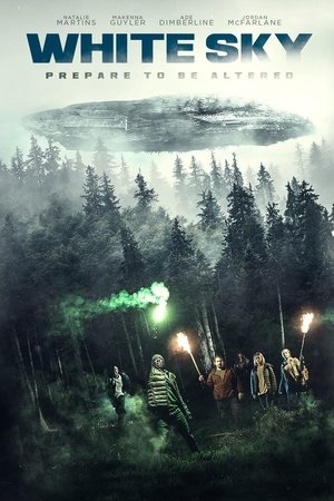 Белое небо (фильм, 2021)