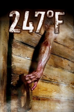 247 градусов по Фаренгейту (фильм, 2011)