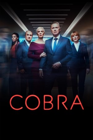Кобра (сериал, 2020)