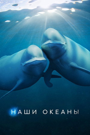 Наши океаны (сериал, 2024)