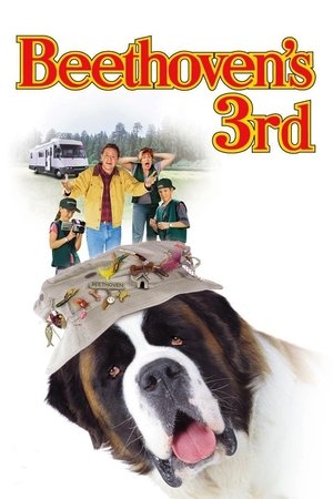 Бетховен 3 (фильм, 2000)