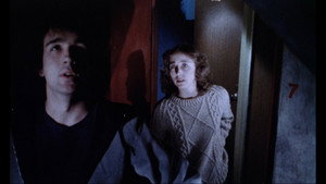 Дом, где падает кровь (фильм, 1982)