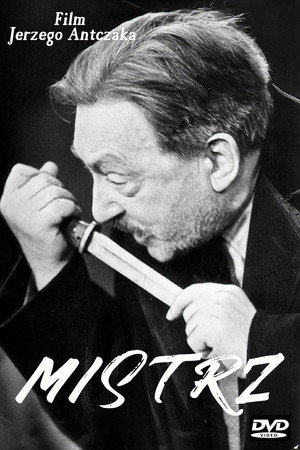 Мастер (фильм, 1966)