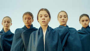 Шибил (фильм, 2019)