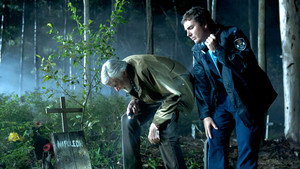 Странные звонки (сериал, 2012)