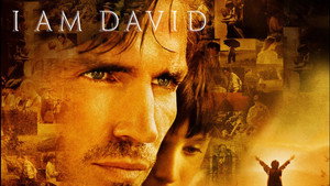 Меня зовут Дэвид (фильм, 2003)