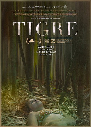 Тигр (фильм, 2017)