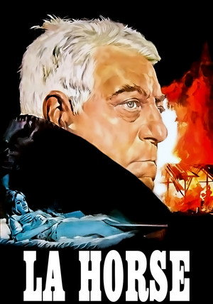 Тайна фермы Мессе (фильм, 1969)