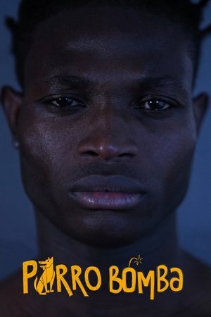 Собака-Бомба (фильм, 2019)