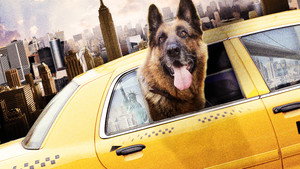 Великолепный пес (фильм, 2010)