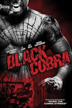 Черная кобра (фильм, 2012)
