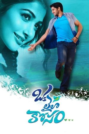 Ради единственной Лейлы (фильм, 2014)