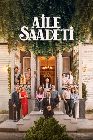 Семейное счастье (сериал, 2025)