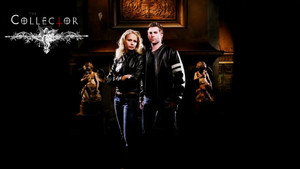 Коллекционер человеческих душ (сериал, 2004)