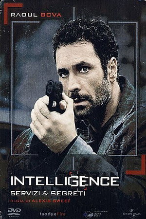 Агентура (сериал, 2009)