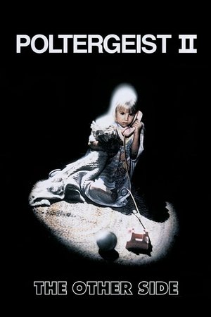 Полтергейст 2: Обратная сторона (фильм, 1986)