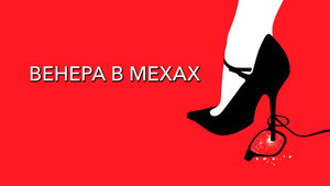 Венера в мехах (фильм, 2013)