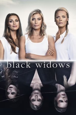 Черные вдовы (сериал, 2016)