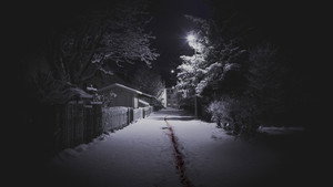 Убийства Вальгаллы (сериал, 2019)