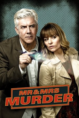 Уборщики (сериал, 2013)