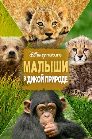 Малыши в дикой природе (фильм, 2016)