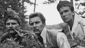 Капитан Тенкеш (сериал, 1964)