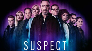 Подозреваемый (сериал, 2022)