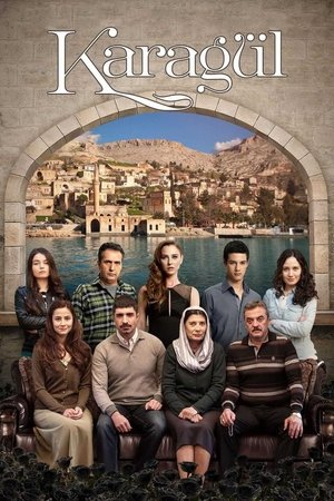 Черный цветок (сериал, 2013)
