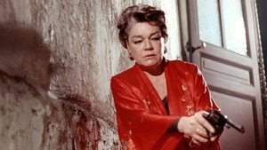 Кот (фильм, 1971)