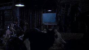 Река (фильм, 1984)