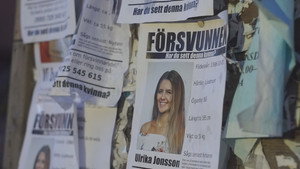 Ноябрьский репортаж (фильм, 2020)