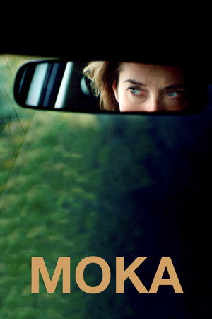 Цвет кофе с молоком (фильм, 2016)