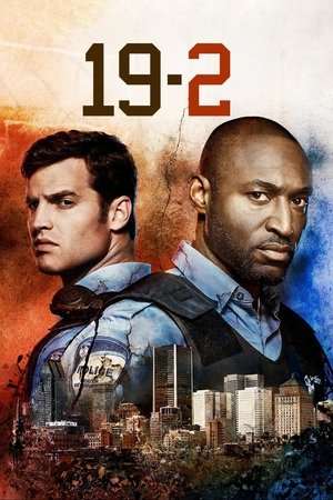 19-2 (сериал, 2014)