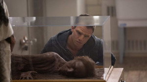 Уильям. Последний неандерталец (фильм, 2019)