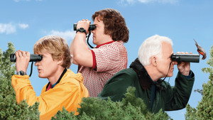 Большой год (фильм, 2011)
