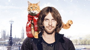 Уличный кот по кличке Боб (фильм, 2016)