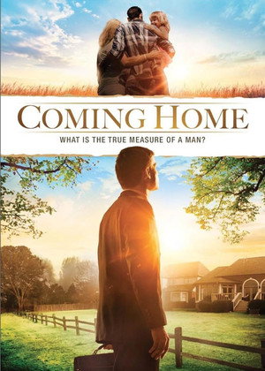 Домашняя битва (фильм, 2017)
